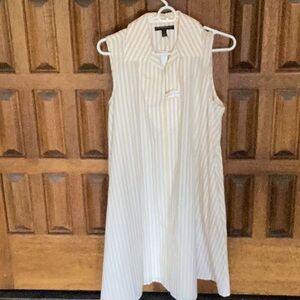 Banana Republic Striped Poplin Sleeveless Dress